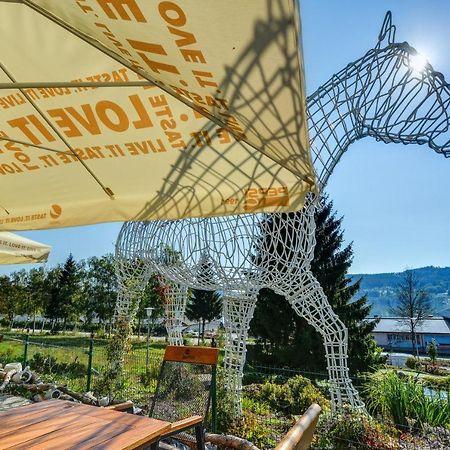 Hotel Star Lipno Ліпно-над-Влтавою Екстер'єр фото