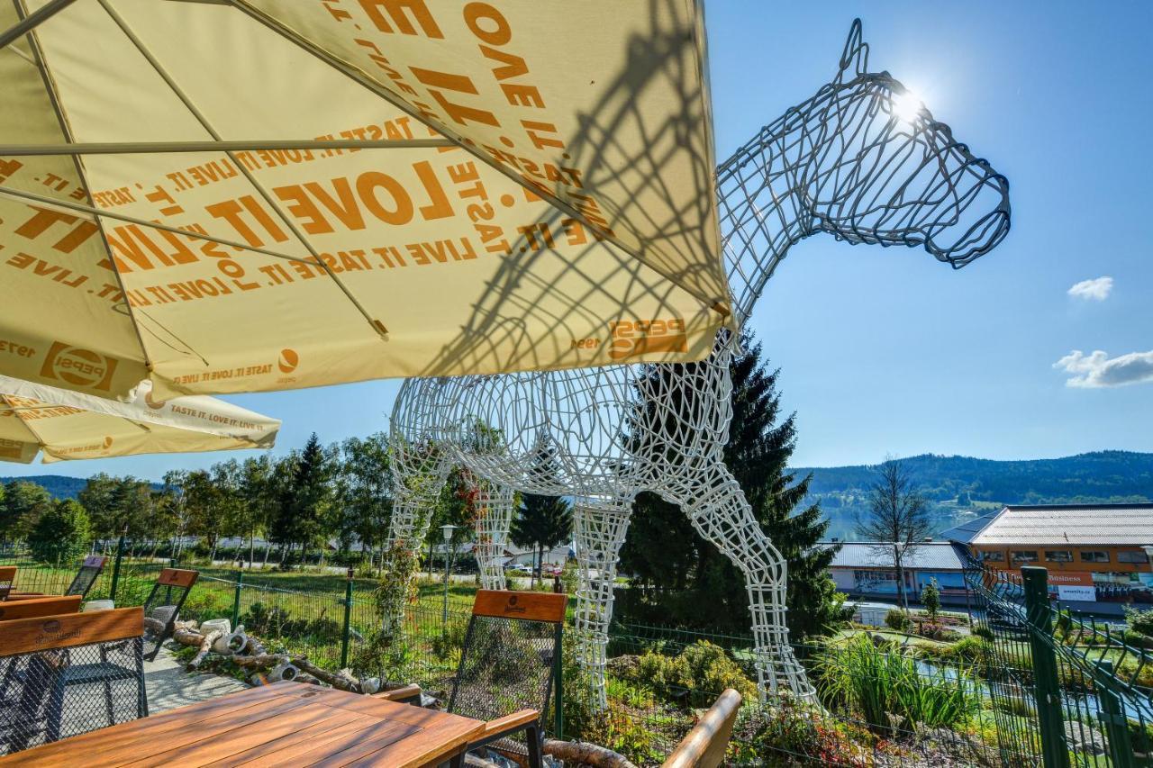 Hotel Star Lipno Ліпно-над-Влтавою Екстер'єр фото