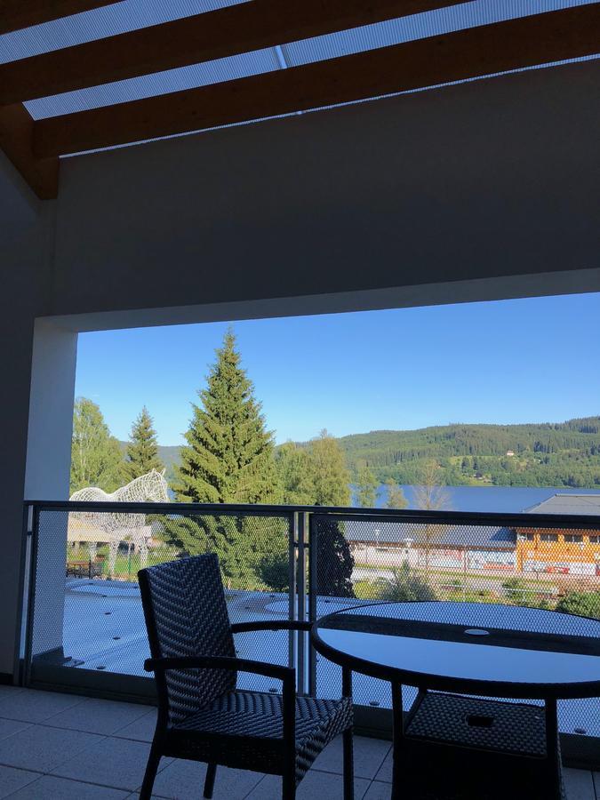 Hotel Star Lipno Ліпно-над-Влтавою Екстер'єр фото